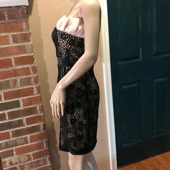 NWOT Modcloth | Mystic | Crochet Overlay Black Dress | Pink Ruffle Above Bodice - Picture 3 of 11